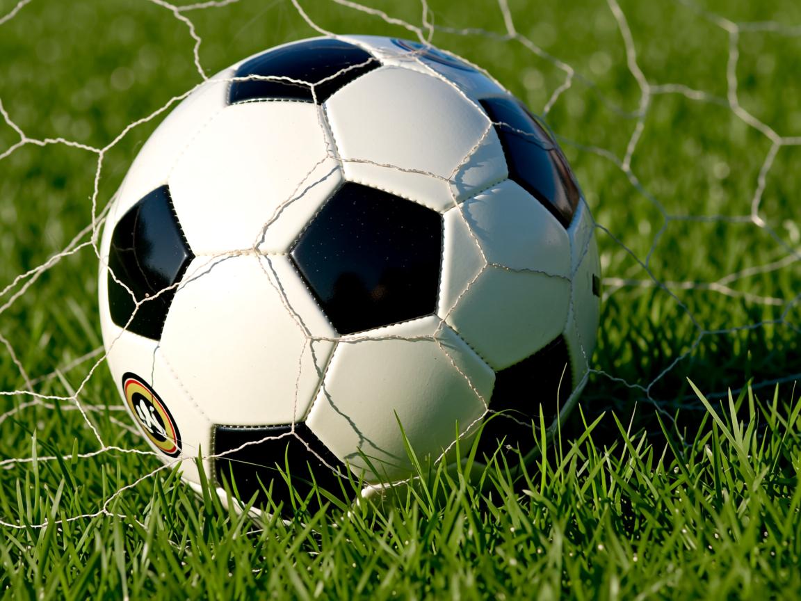 开云体育app入口-中国男篮强化外线防守限制对手投篮空间，中国男篮防守好的球员  第2张