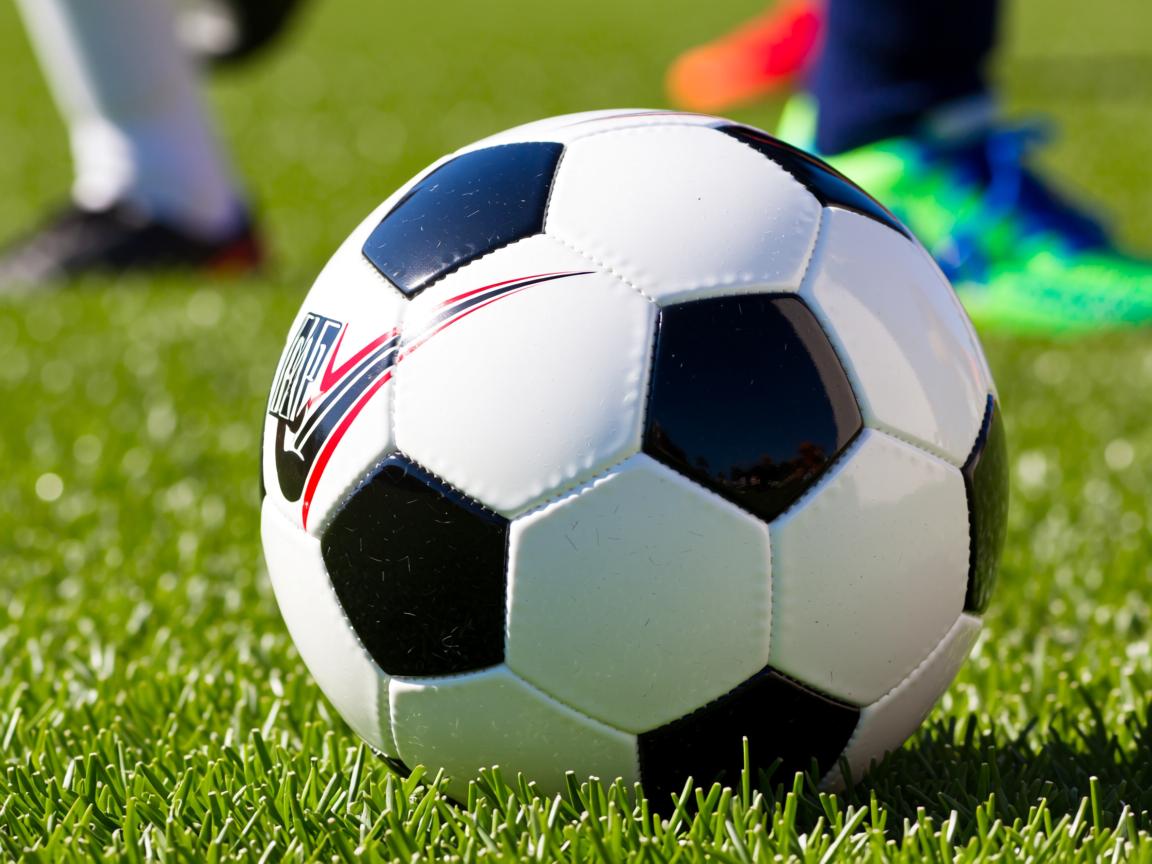 开云体育平台-中国男篮替补阵容发挥出色 赢得宝贵经验,中国男篮替补阵容发挥出色 赢得宝贵经验的球员 第3张