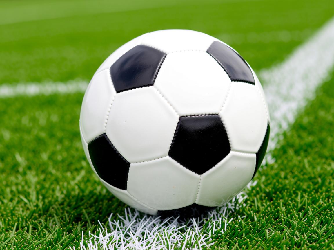 开云体育入口-亚冠比赛节奏紧凑球队轮换频繁，亚冠规则  第2张