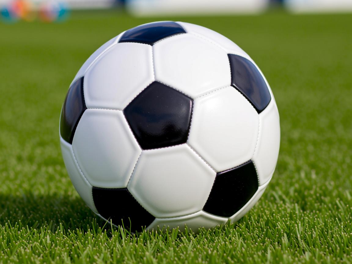 开云官方网-明星运动员公益行动广受好评，明星公益活动有哪些